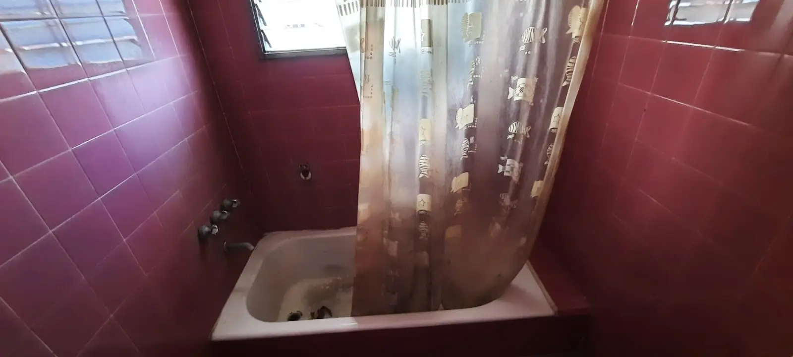 Casa en Pedro Morán · Antes, foto 5